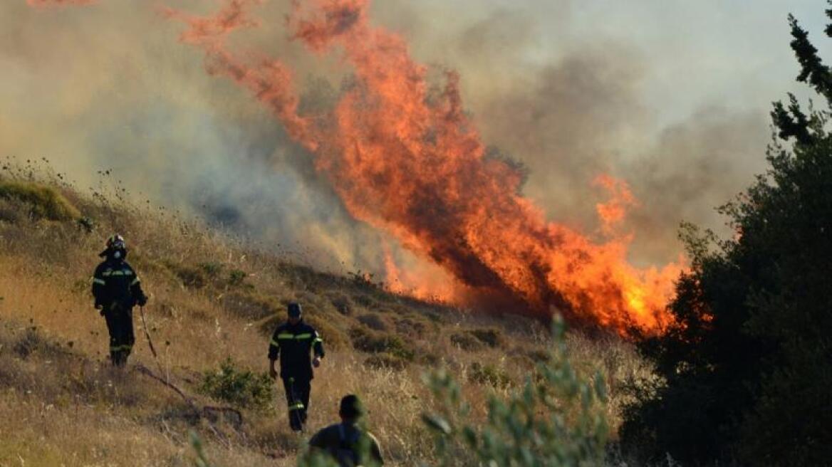 Βοιωτία: Πυρκαγιά σε αγροτοδασική έκταση στην περιοχή Βάγια
